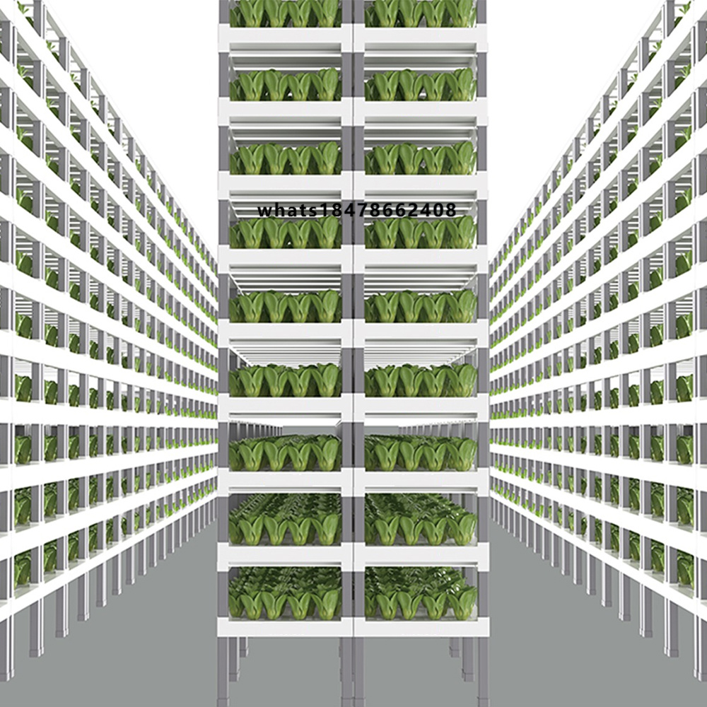 Indoor Plants - Sistema de Cultivo Hidropónico Inteligente Controlado