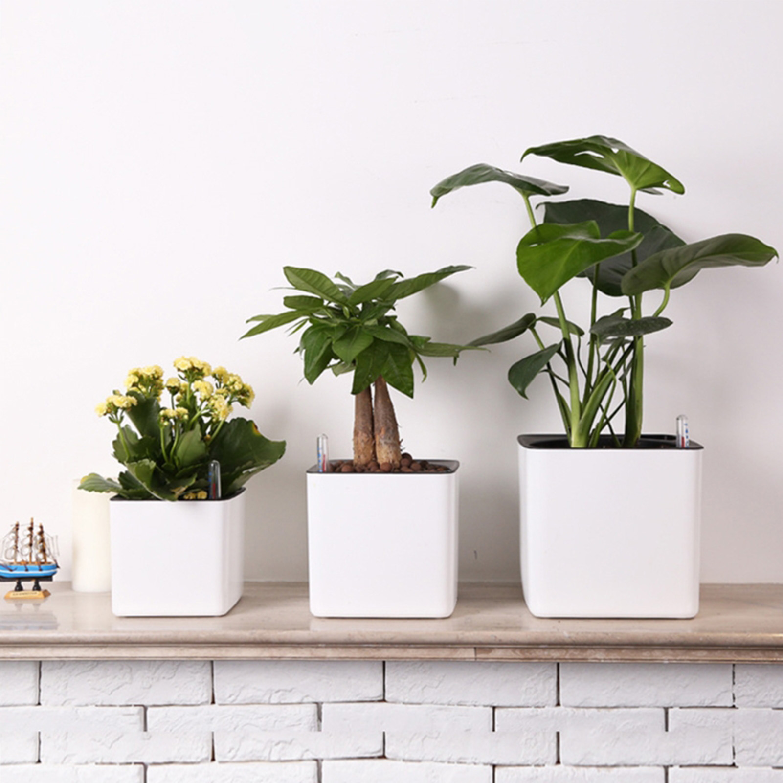 Macetas de plantas de flores c - Plant Pot reseña y precio