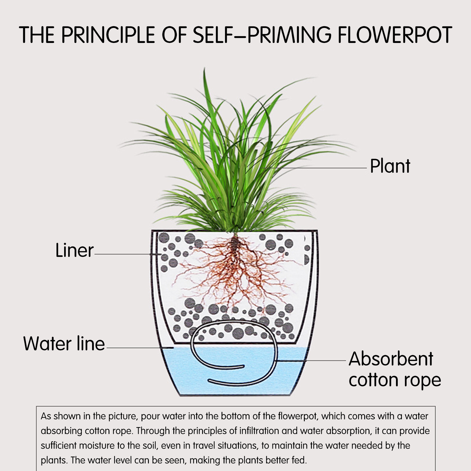 Macetas de plantas de flores c - Plant Pot reseña y precio