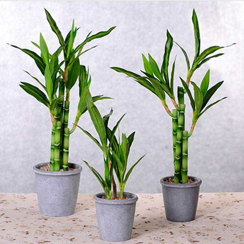 Nueva Planta Artificial de Bam - Succulent Set reseña y precio