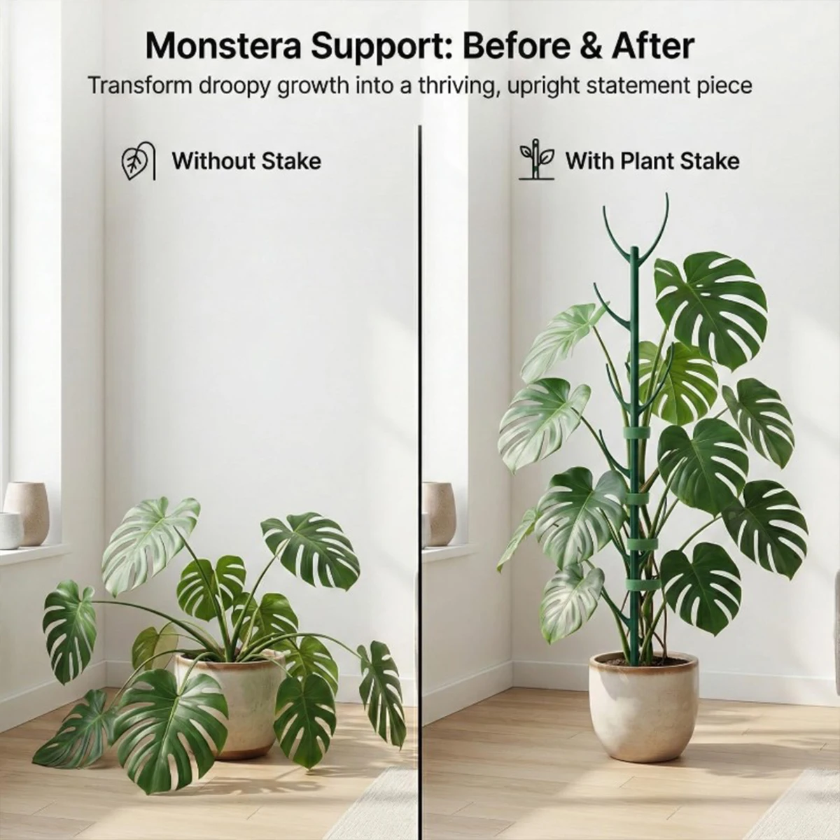 Juego de 6 soportes para plant - Plant Support Stake reseña y precio