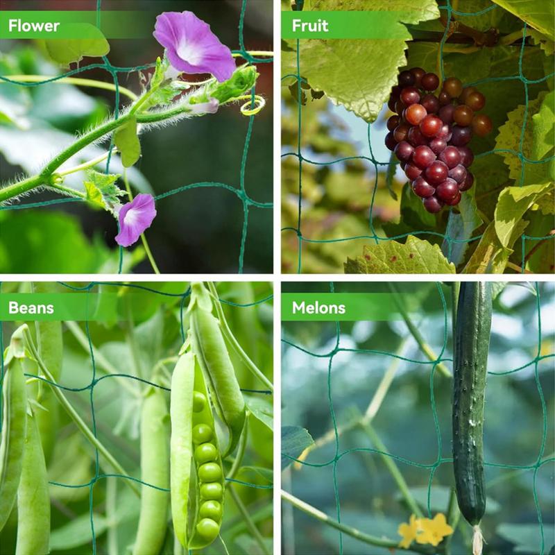 Red de enrejado para plantas t - Plant Support Stake reseña y precio