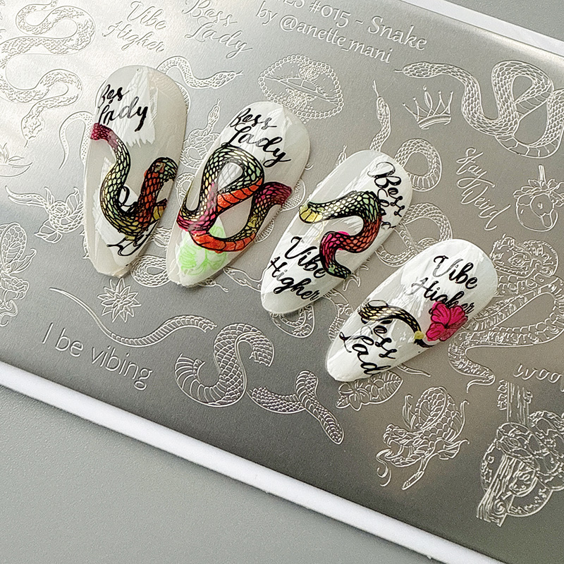 XMQ NAIL ART PLATAS STAMPING D - Snake Plant reseña y precio