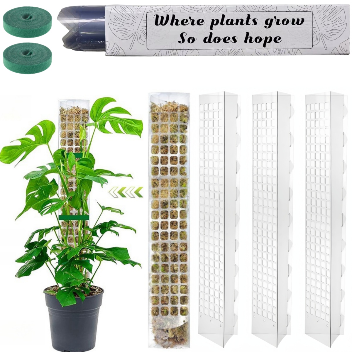 Poste de musgo, soporte de plá - Plant Support Stake reseña y precio