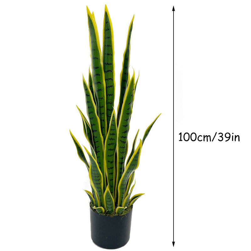 Planta de Sansevieria Artifici - Snake Plant reseña y precio