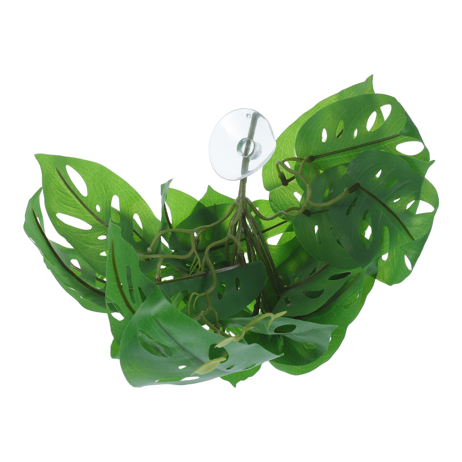 Decoración para hábitat de rep - Snake Plant reseña y precio