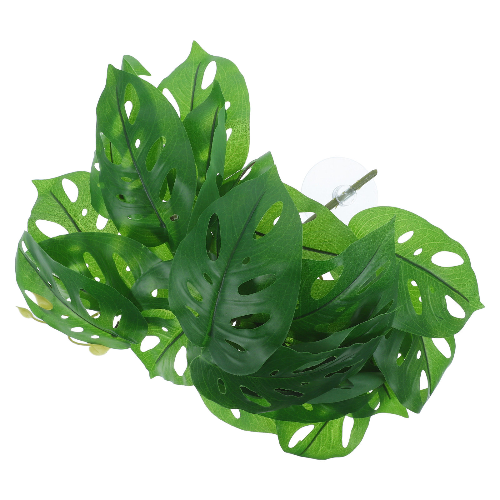 Decoración para hábitat de rep - Snake Plant reseña y precio