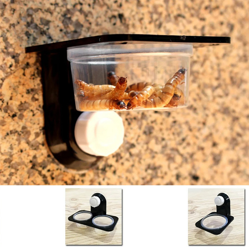 Accesorios para tanque de rept - Snake Plant reseña y precio