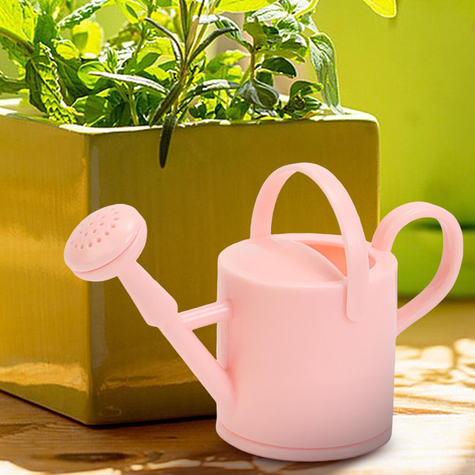 Regadera pequeña para niños, r - Terracotta Pot reseña y precio