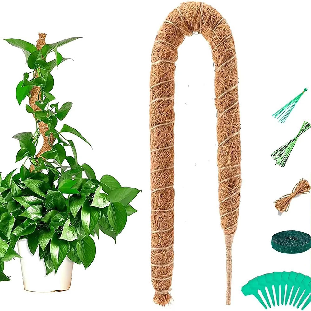 Varilla de Soporte para Planta - Pothos reseña y precio