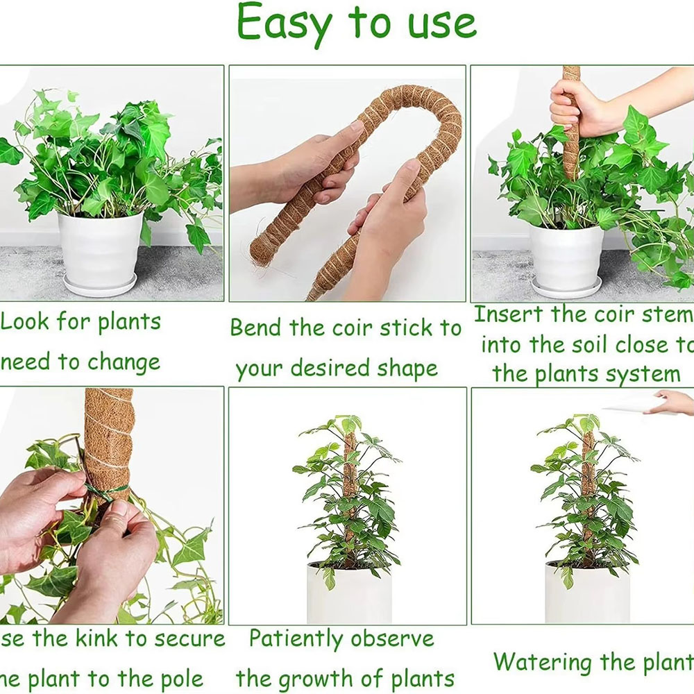 Varilla de Soporte para Planta - Pothos reseña y precio