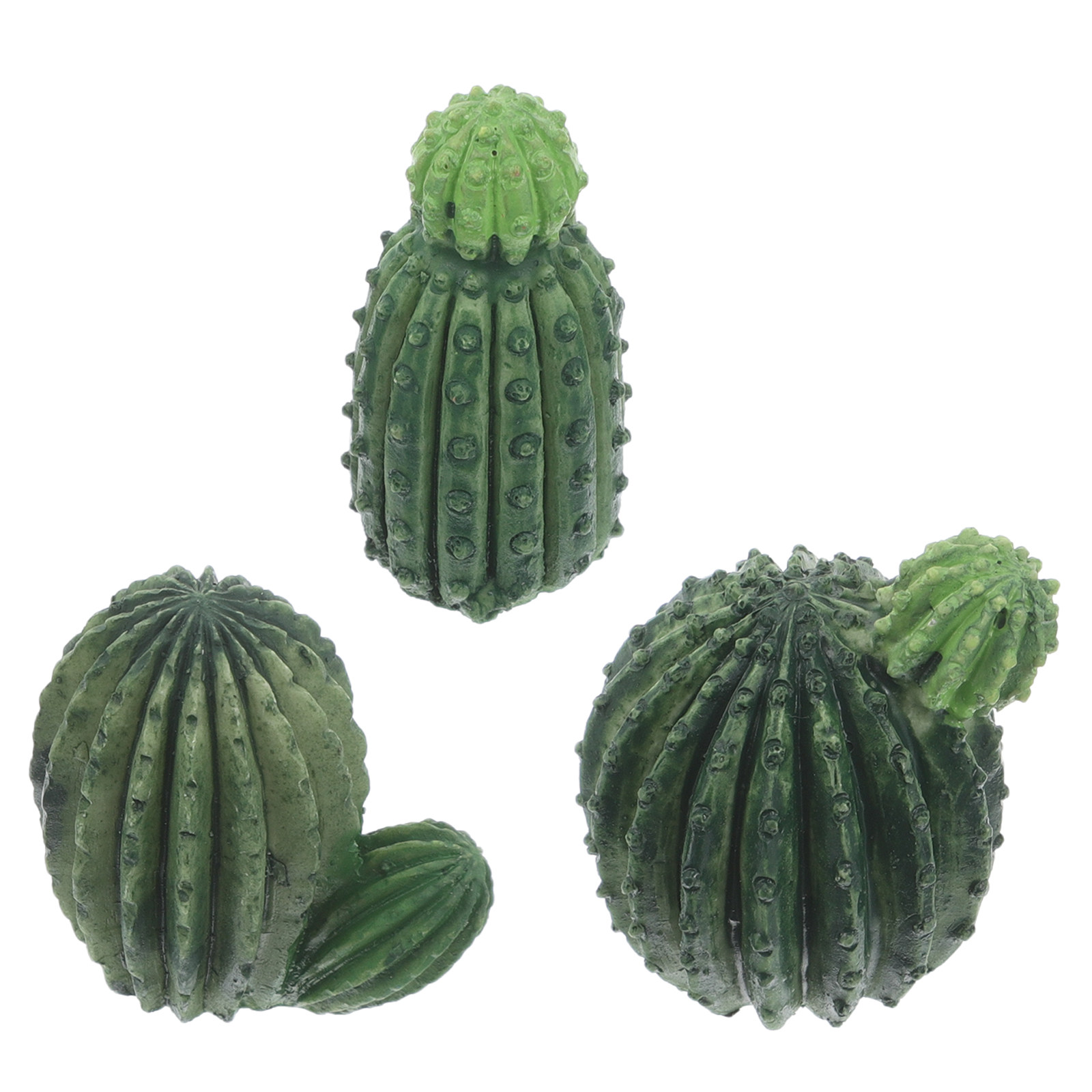 Set de mini plantas suculentas - Succulent Set reseña y precio