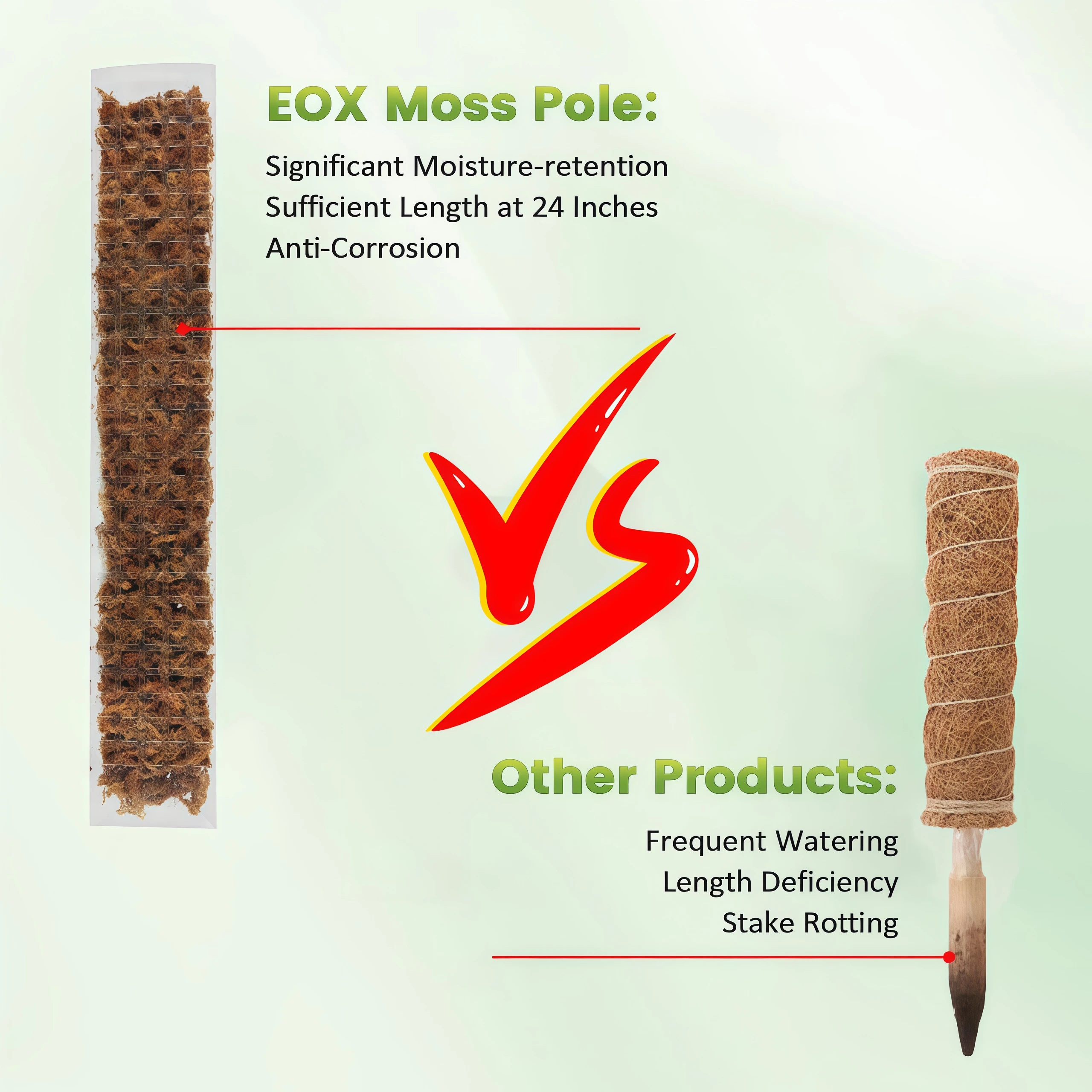 Soporte de musgo de plástico p - Plant Support Stake reseña y precio
