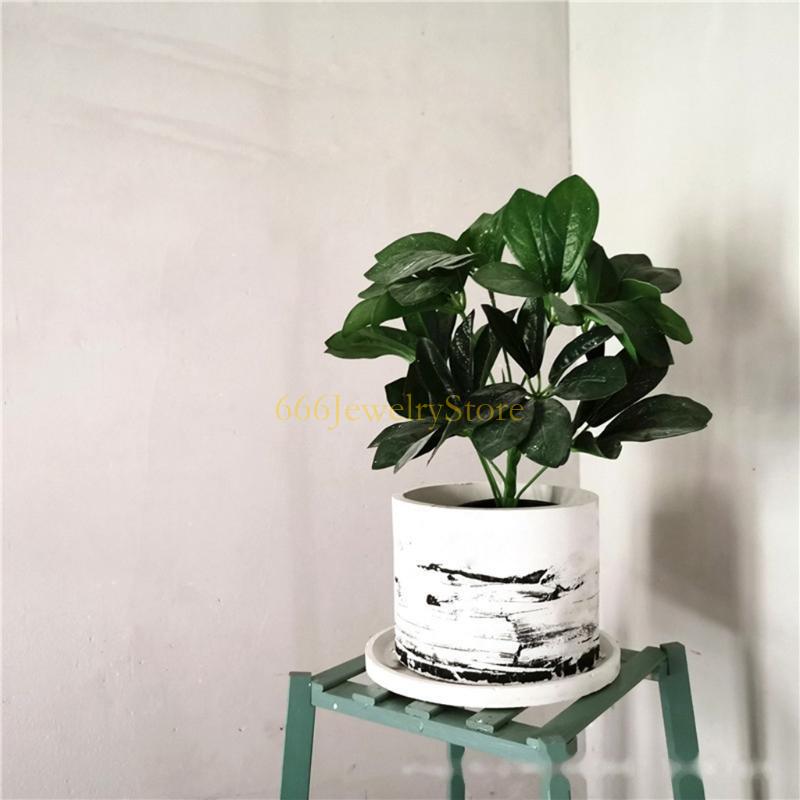 F2TD gran redonda planta macet - Terracotta Pot reseña y precio