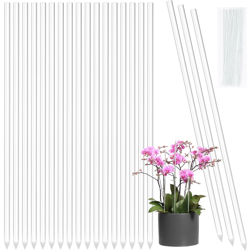 Estaca de Soporte Transparente - Plant Pot reseña y precio