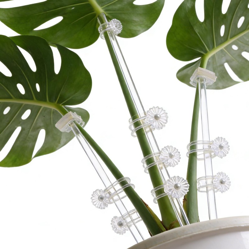 Estaca de Soporte Transparente - Plant Pot reseña y precio