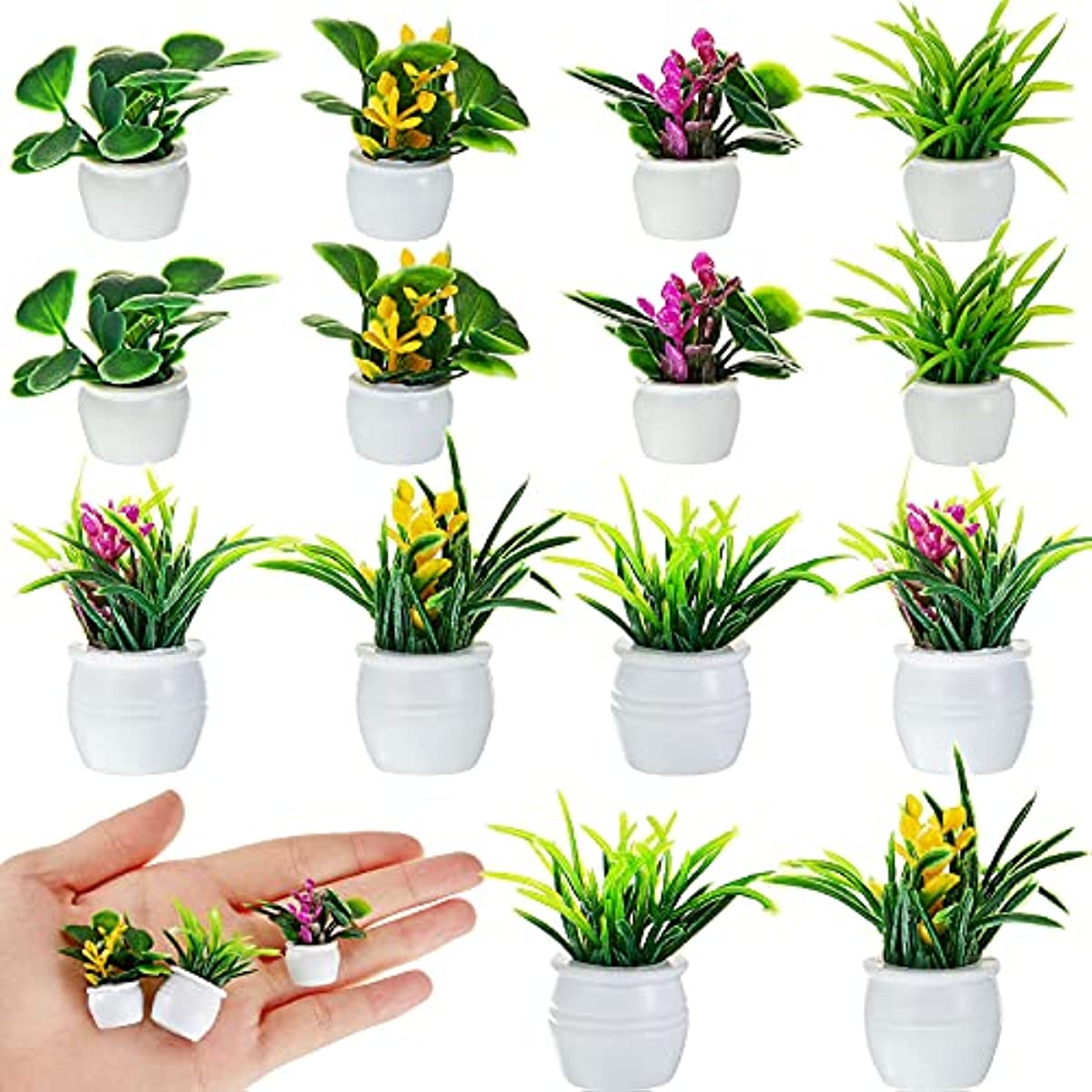 Planta de casa de muñecas, pla - Terracotta Pot reseña y precio