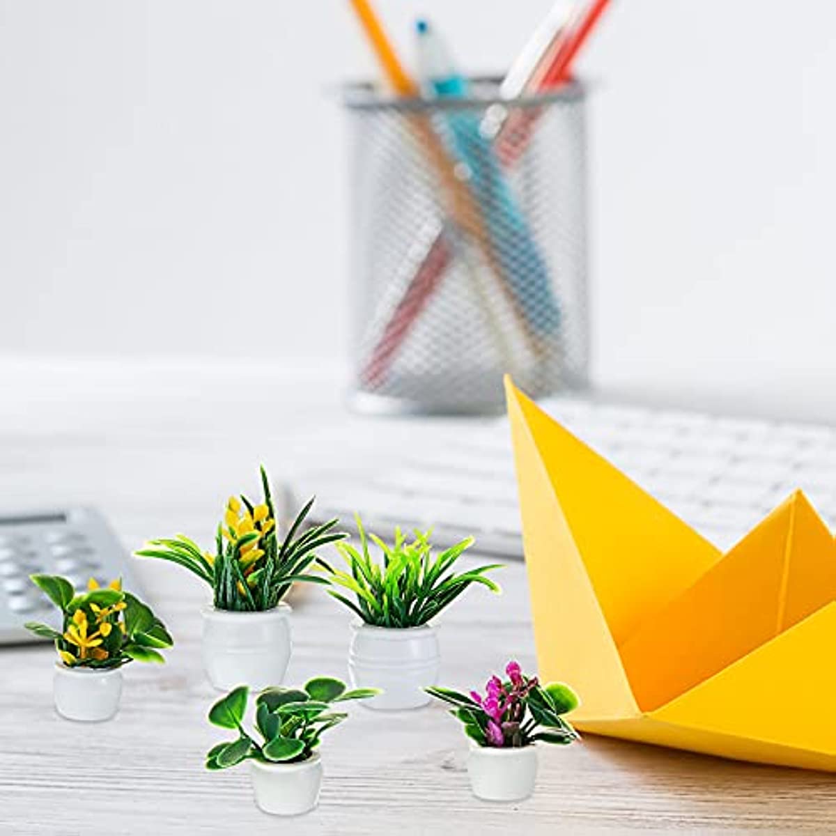 Planta de casa de muñecas, pla - Terracotta Pot reseña y precio