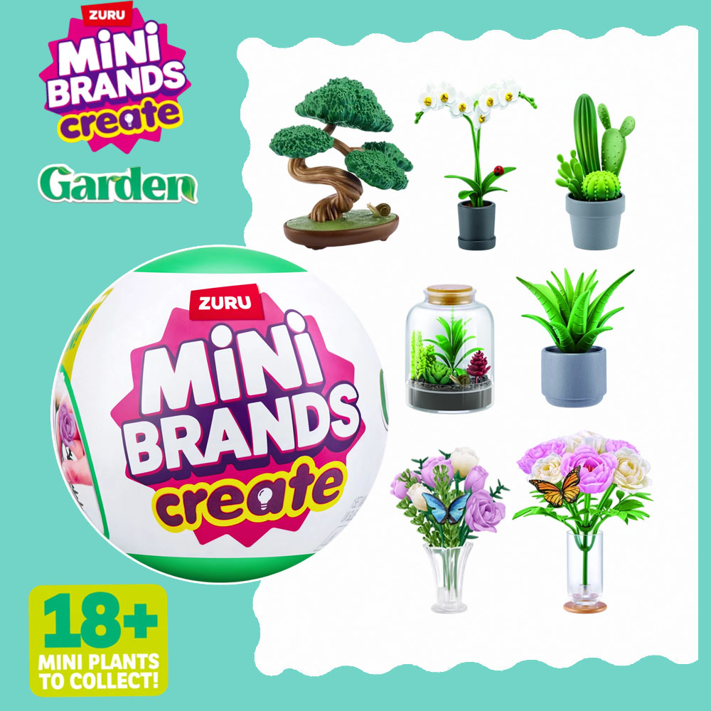 Juego de plantas DIY de jardín - Succulent Set reseña y precio