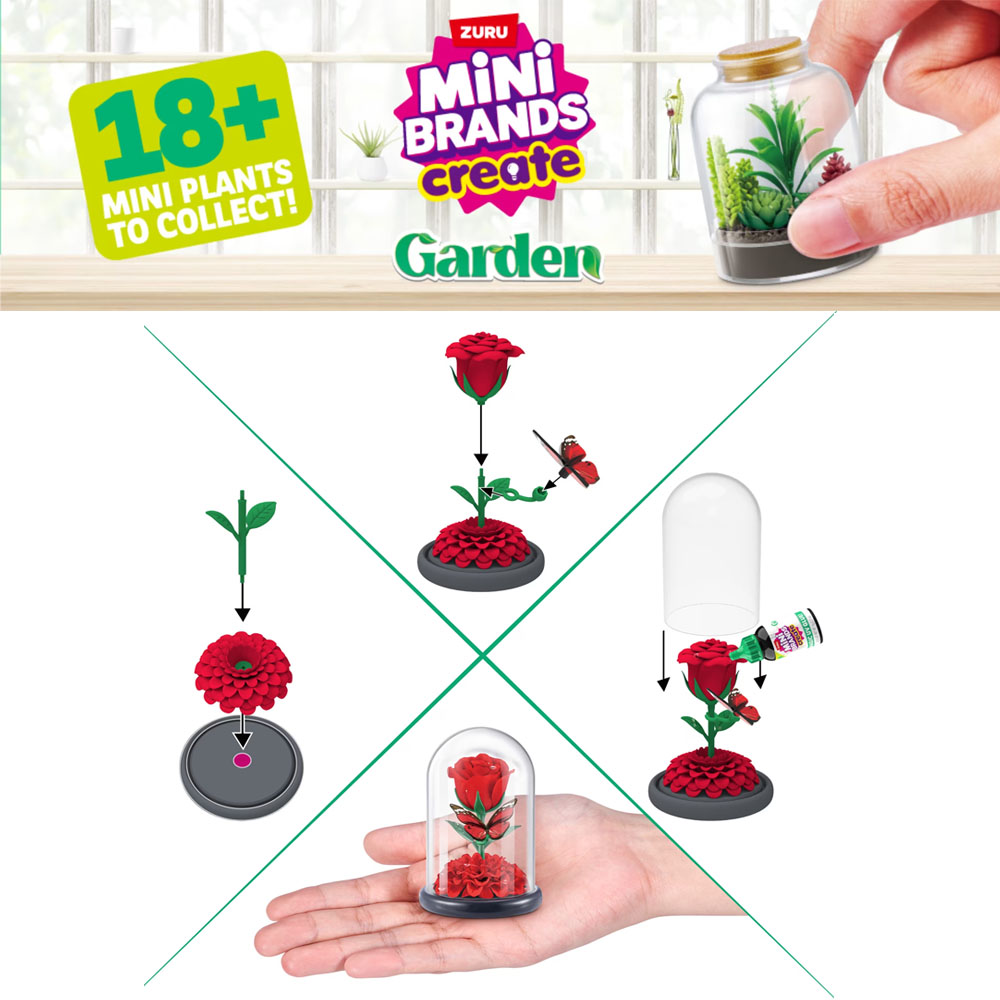 Juego de plantas DIY de jardín - Succulent Set reseña y precio