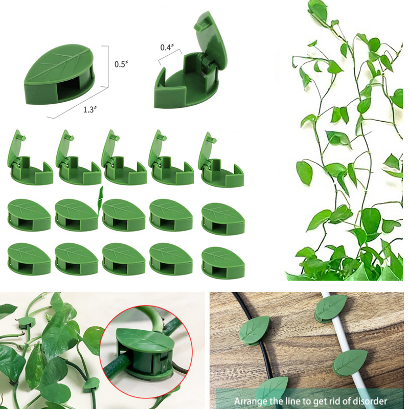 Accesorio Invisible para pared - Plant Support Stake reseña y precio