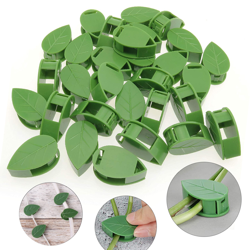 Accesorio Invisible para pared - Plant Support Stake reseña y precio