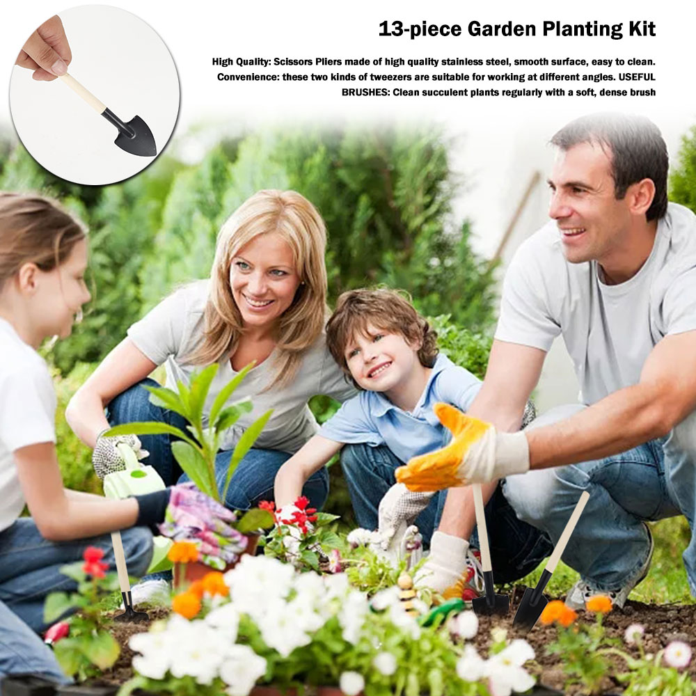 Herramientas de plantas sucule - Succulent Set reseña y precio