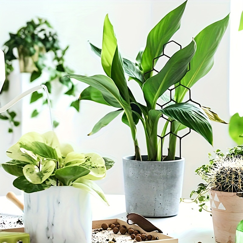 1 unidad de soporte para plant - Terracotta Pot reseña y precio